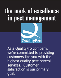 QualityPro Pest Control